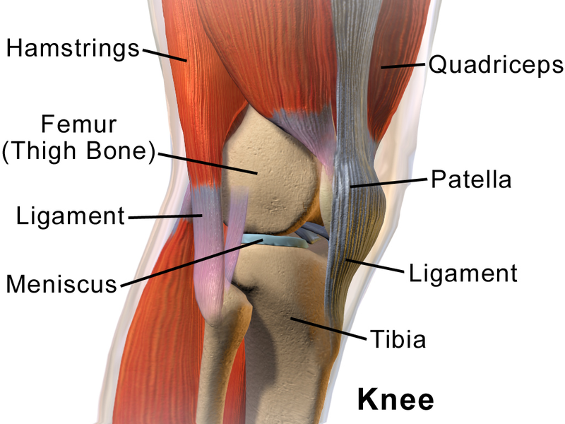 Knee Surgery and Recovery
